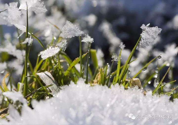 <b>����ͥԺ���^�cֲ���o��</b>