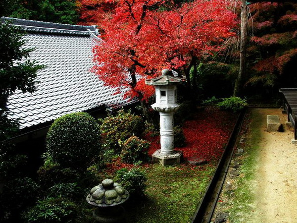 ��ľ�Ј���ȱʲô�磿�Ј�������N����Щ��