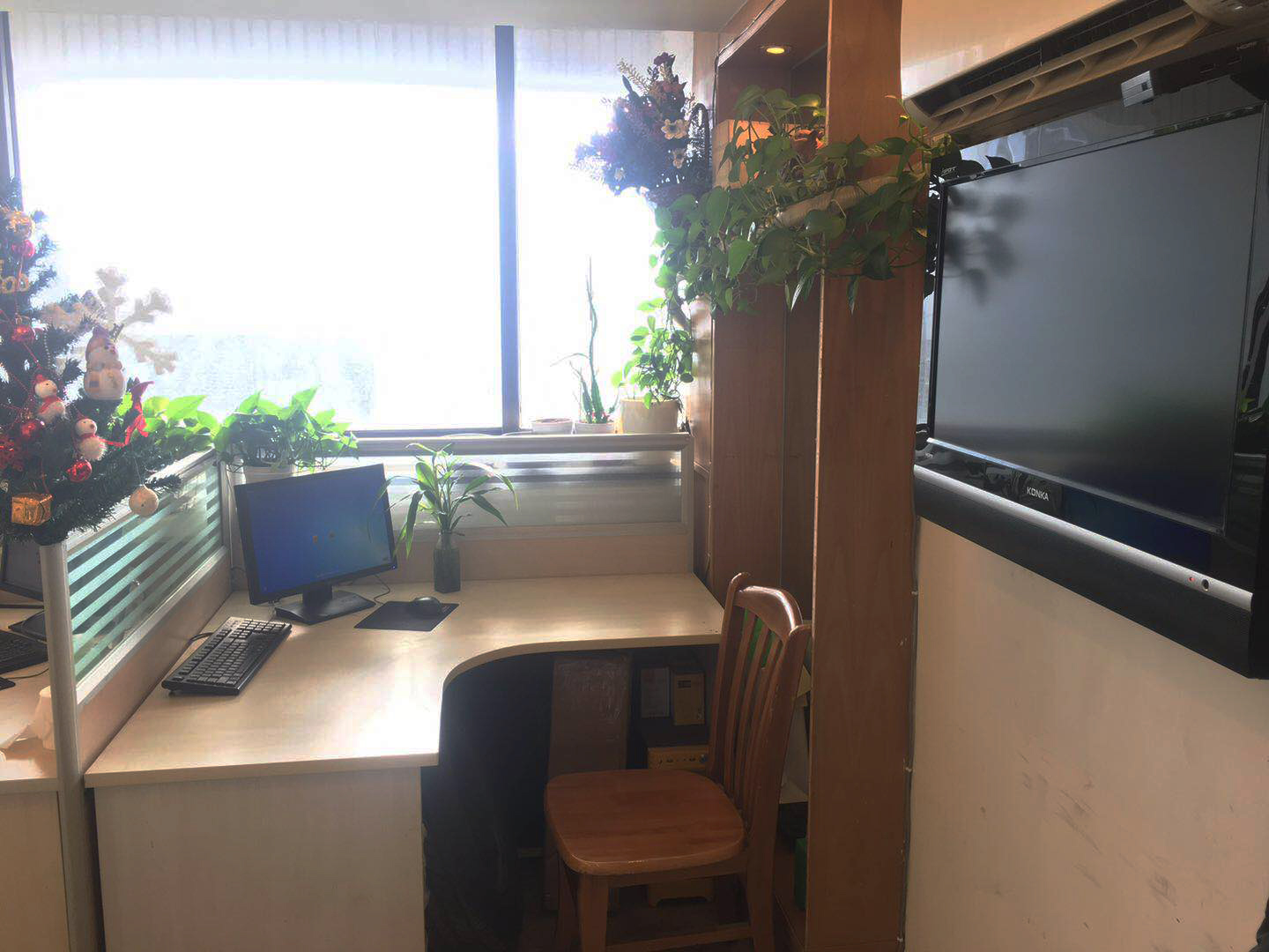 <b>�T�k����</b>