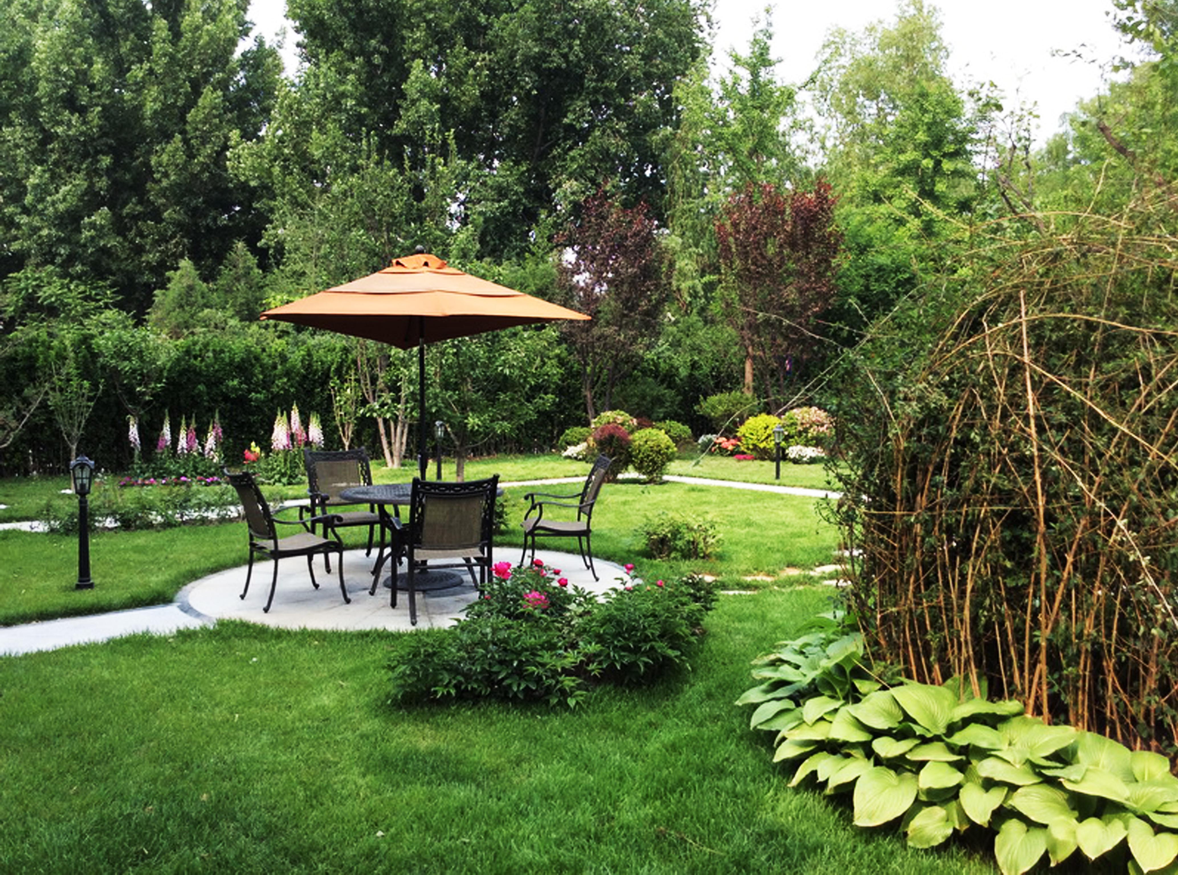 �����С����ɻ��@