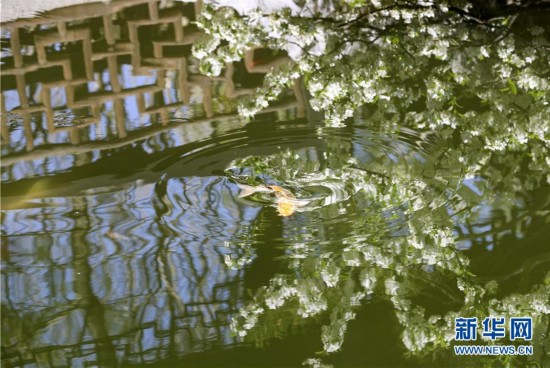 ���d�@�@�־��^4