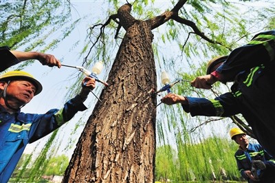 �����Ј@�־G���֣�����2020�ꌍ�F���������ɞġ�